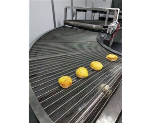 成都食品网带转弯机