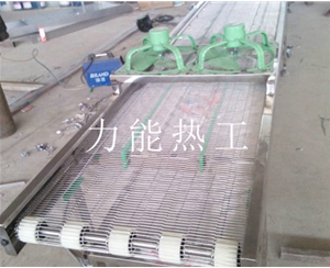 成都乙字网输送机