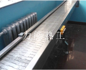成都链板输送机
