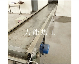 成都链板输送机